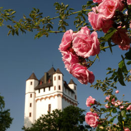 Foto: Dieter Schenk, Eltville